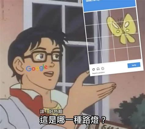 這是鳥嗎|這是鴿子嗎？